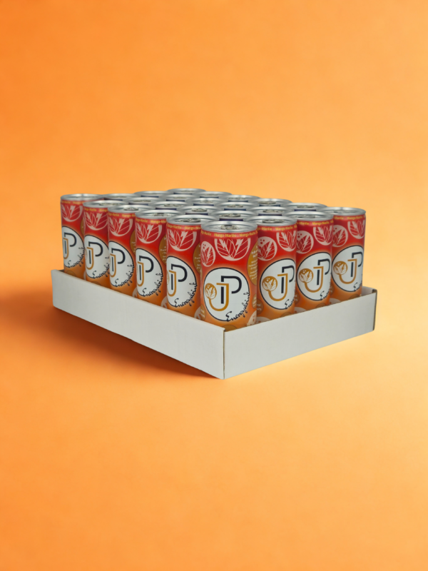 24er Mango-Marille JP Energydrink