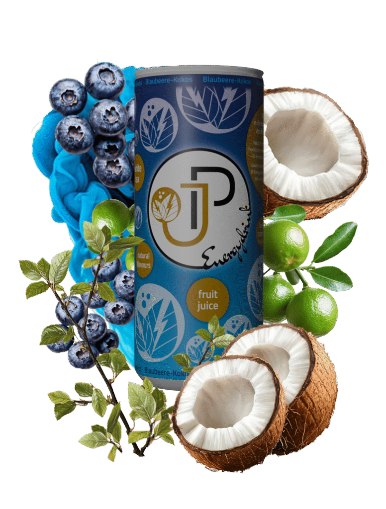 JP Energydrink Blaubeere-Kokos - Kalorienarme Erfrischung mit Weißtee und natürlichem Fruchtsaft.