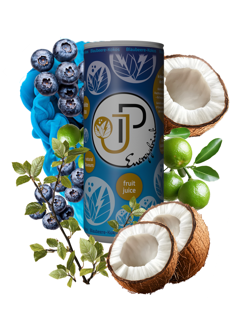JP Energydrink Blaubeere-Kokos - Kalorienarme Erfrischung mit Weißtee und natürlichem Fruchtsaft.